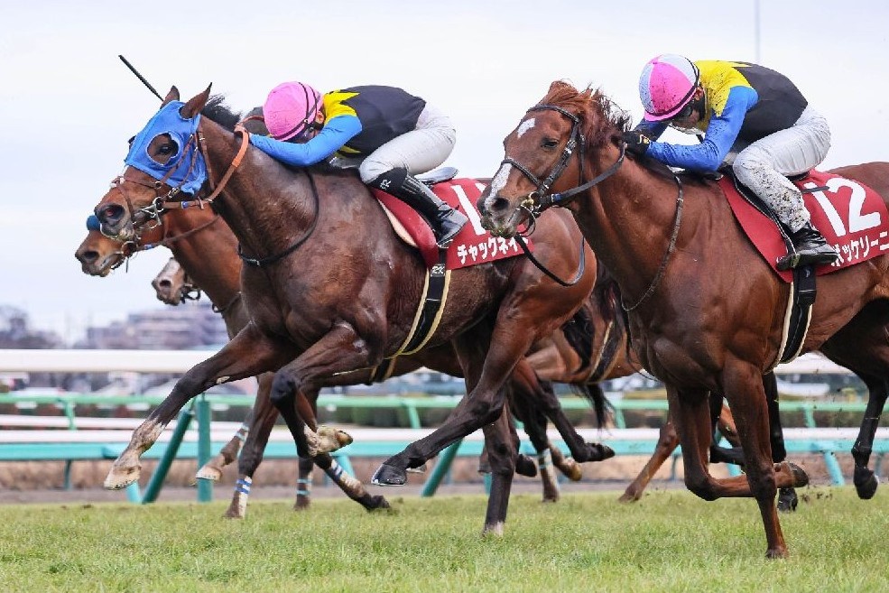 【札幌記念】穴を期待できる「ジョッキーと馬」 攻めの競馬で“馬券圏内ある”1頭