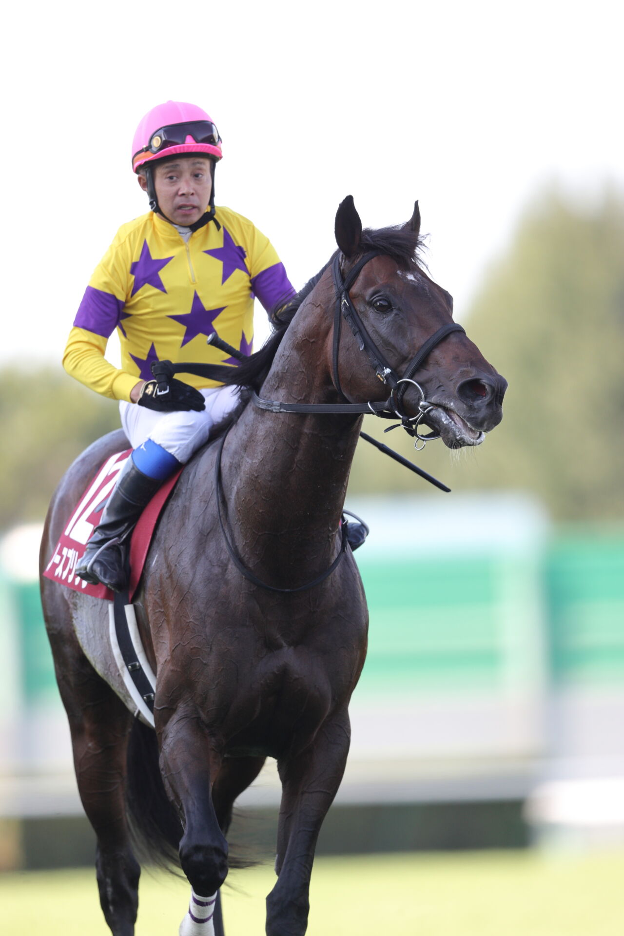 【札幌記念】岩田康「馬自身が充実」ノースブリッジが重賞3勝目