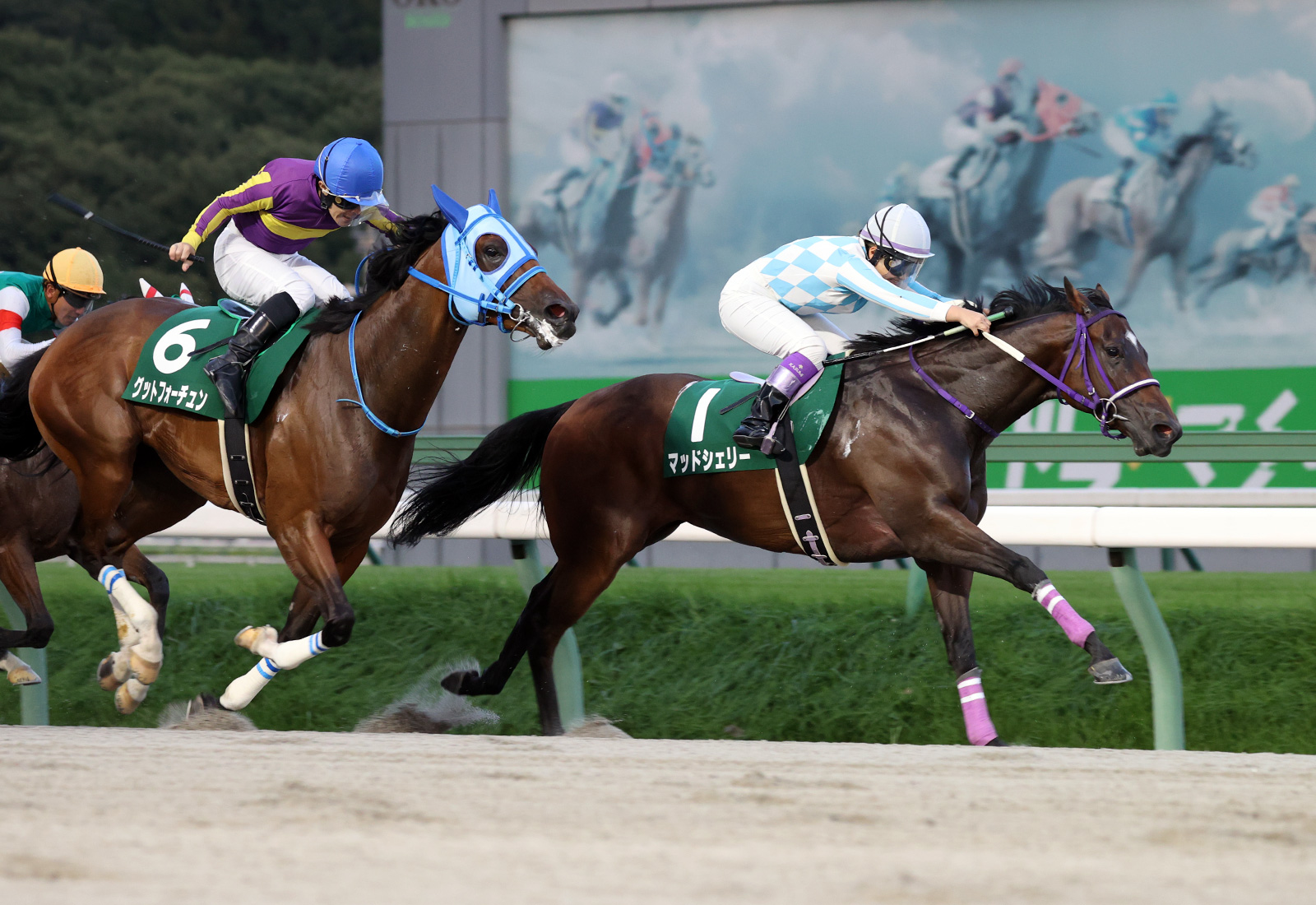 【盛岡・OROターフスプリント】マッドシェリーが逃げ切る…神尾「これからもコツコツと頑張る」