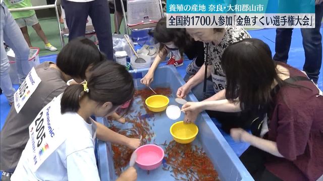 「全国金魚すくい選手権大会」約1700人が参加 養殖の産地、奈良・大和郡山市（日テレnews Nnn） Yahoo ニュース