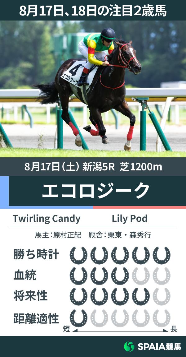 【注目2歳馬】Twirling Candy産駒エコロジークが5馬身差の完勝　勝ち時計1:08.9は新潟芝1200mの新馬戦レコードを更新