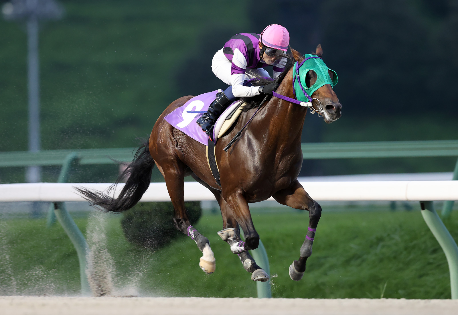 【盛岡・かきつばた賞】スズカゴウケツが2馬身半差快勝…菅原辰「反応が素晴らしかった」