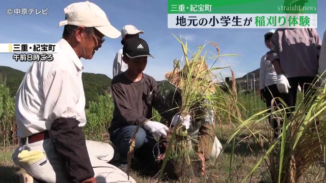 小学生が稲刈り体験 地元について学び、地元の人たちとの交流を深める ぬかるんだ田んぼでドロドロになり悪戦苦闘も… 三重・紀宝町（中京テレビＮＥＷＳ）  - Yahoo!ニュース