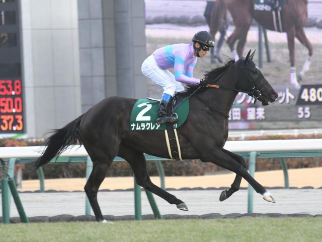 【キーンランドC出走馬・騎手確定】ナムラクレア&浜中俊騎手、サトノレーヴ&D.レーン騎手など16頭