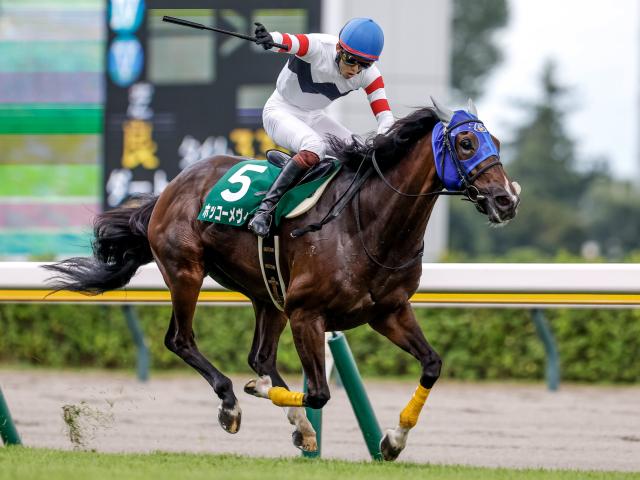 【小倉SJ出走馬・騎手確定】ホッコーメヴィウス&小牧加矢太騎手、ロスコフ&草野太郎騎手など6頭