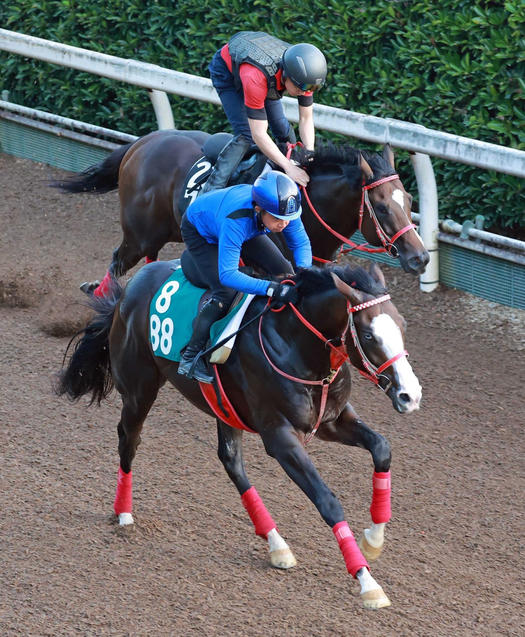 【新潟２歳Ｓ】シンフォーエバー　規格外のパワーで堂々４Ｆ５０秒２の一番時計　森秀厩舎期待の２歳馬が重賞初制覇へ挑む