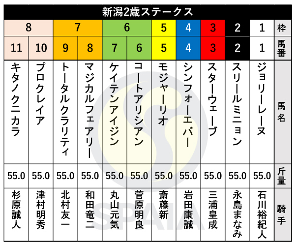 【新潟2歳S枠順】新馬戦5馬身差圧勝のコートアリシアンは6枠6番　森秀行厩舎の外国産馬シンフォーエバーは4枠4番