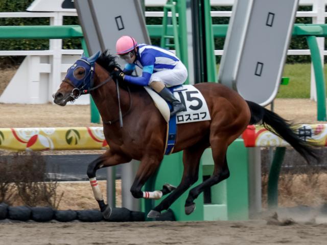 【今日の注目ポイント】中京で小倉SJと札幌ではWASJが開幕