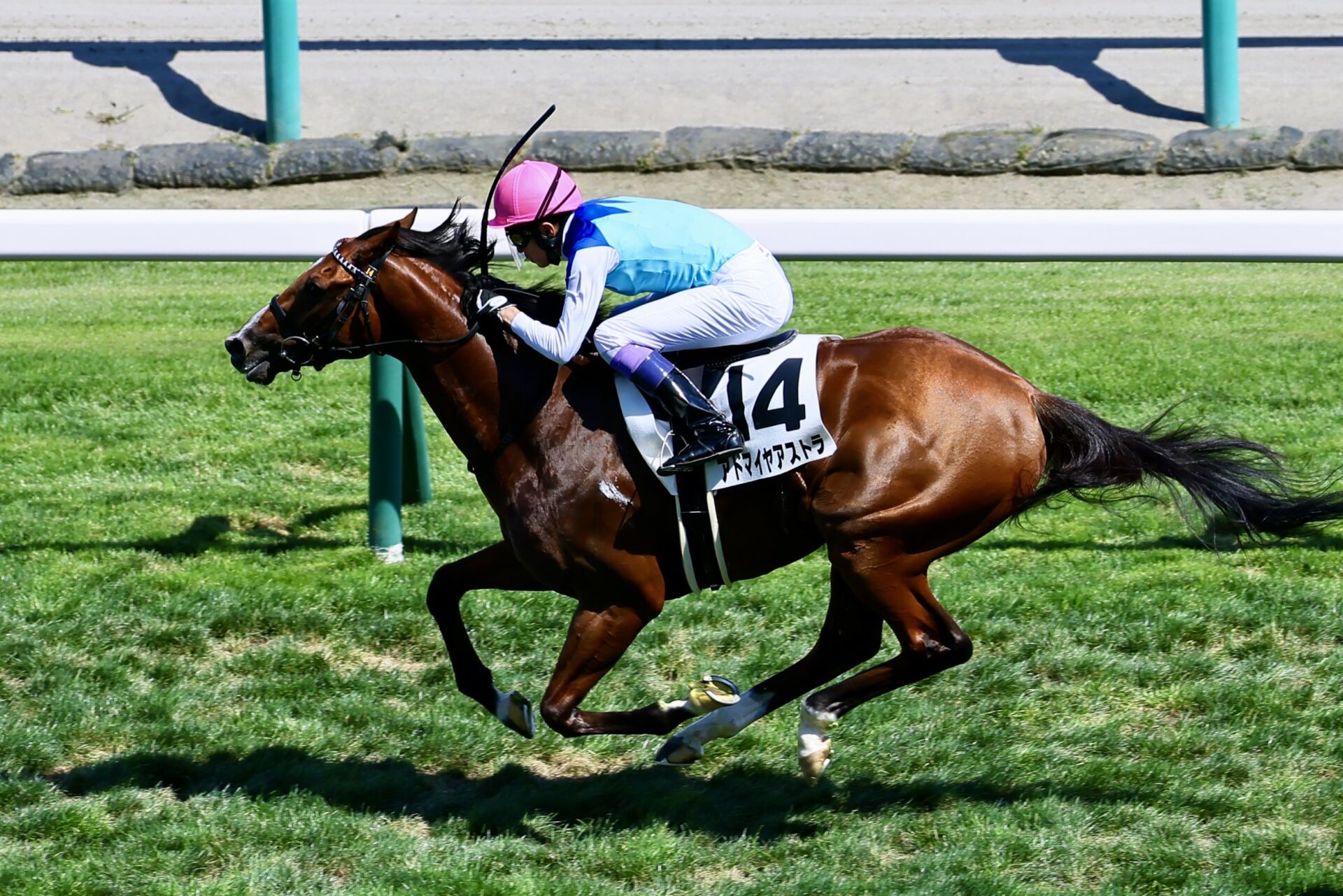 【札幌6R】武豊アドマイヤアストラが初勝利…モレイラはスタートで落馬