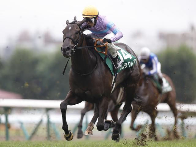 【今日の注目ポイント】新潟2歳Sと札幌ではキーンランドCとWASJ後半戦