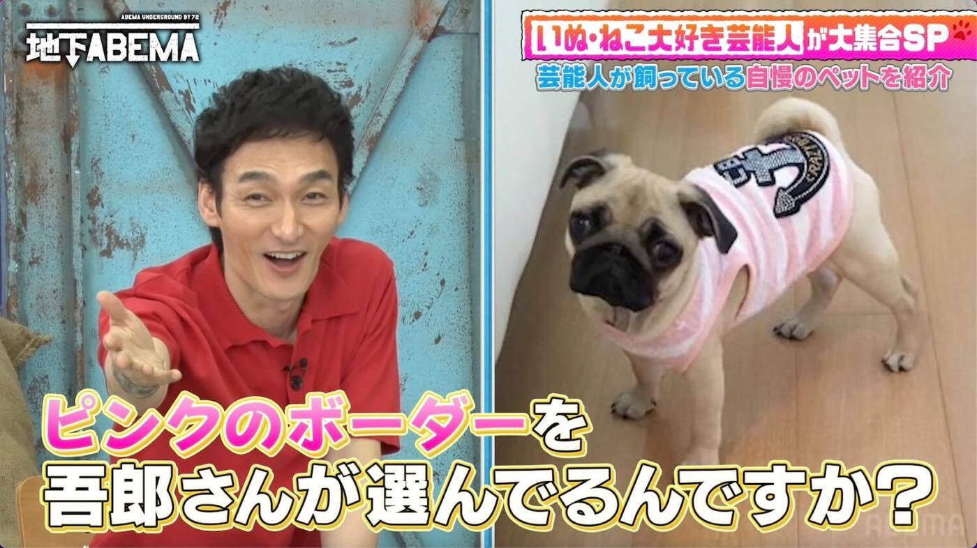 稲垣吾郎が元宝塚トップスターの愛犬に洋服をプレゼント！その行動に草なぎ剛、香取慎吾が驚愕（THE FIRST TIMES） - Yahoo!ニュース