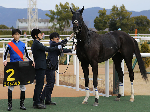 【新潟記念想定騎手】ライトバックは坂井瑠星騎手、レッドラディエンスは戸崎圭太騎手