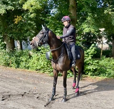 【凱旋門賞】武豊とコンビを組むアルリファーは凱旋門賞直行の予定