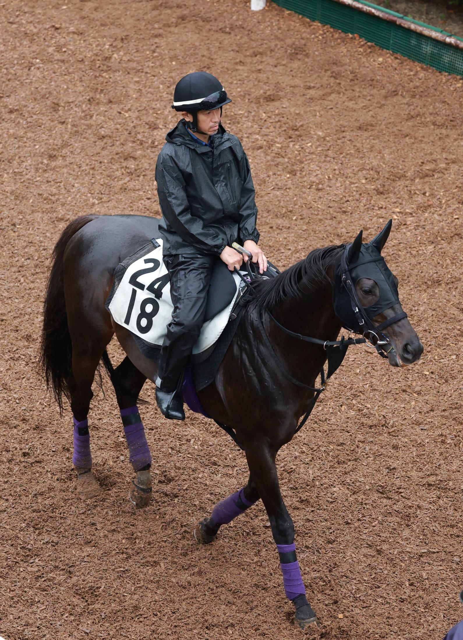 【新潟記念】レッドラディエンス　本格化　重賞連勝で秋へ飛躍だ　過去Ｖ４の友道師「しまいがしっかりしている」