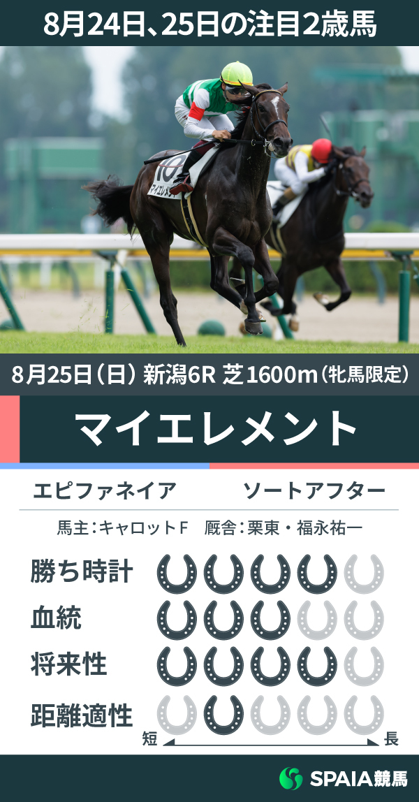 【注目2歳馬】エピファネイア産駒マイエレメントが好タイムで快勝　福永祐一厩舎は2歳新馬戦で初V達成