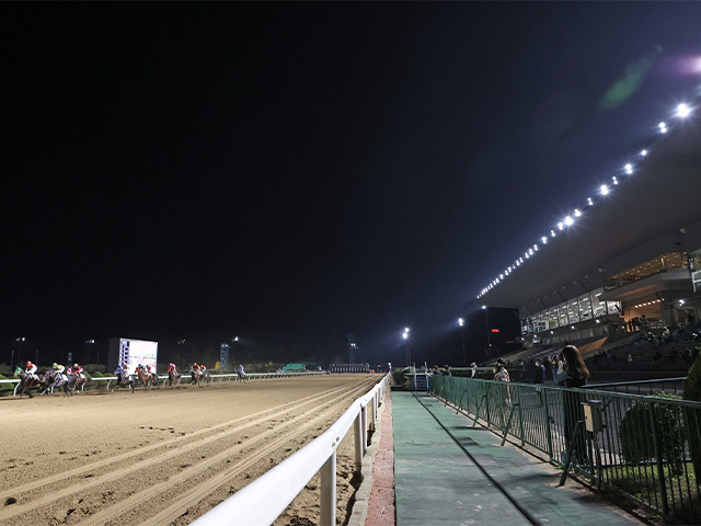 29日の佐賀競馬は台風の影響で開催取り止め サマーチャンピオンは9月1日に順延