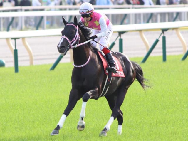 四半世紀ぶりの勝利“ヲ”飾れるか ジューンアヲニヨシが新潟記念に挑む