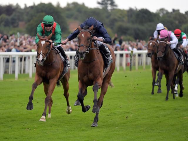 この秋も欧州競馬はオブライエン勢中心か シティオブトロイがインターナショナルS制す