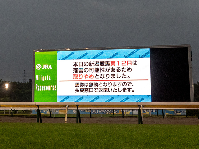 悪天候や災害時に競馬開催の可否は誰が決める？ ルールについてJRAに尋ねてみると