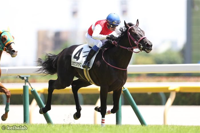 【札幌2歳S】今回は試金石！新馬勝ちしたショウナンマクベスの長所とは