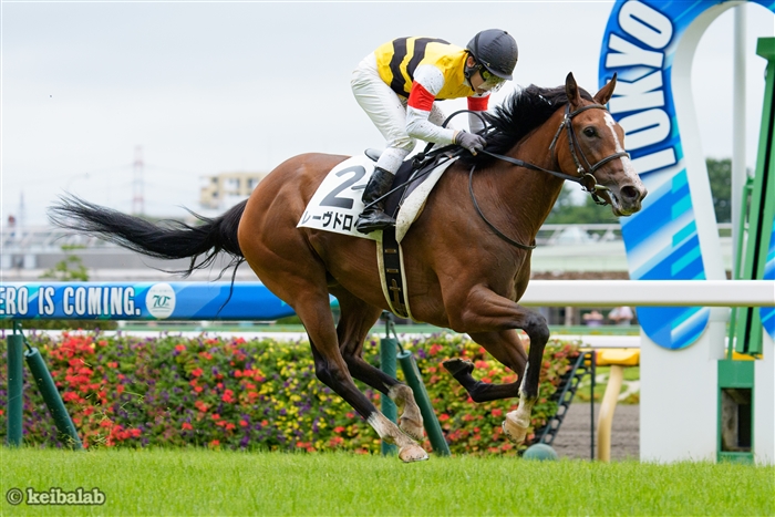 【札幌2歳S】2戦目で一変！ポテンシャル秘めるレーヴドロペラの見通し