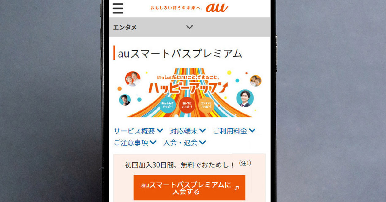 au電話オプションパックの解約 販売