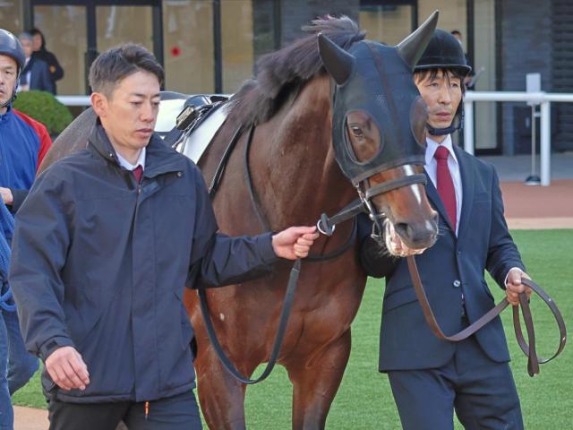 【アジア競馬連盟T】母は「幻のダービー馬」に唯一勝利のGI覇者 良血馬がGI敗戦から巻き返しへ