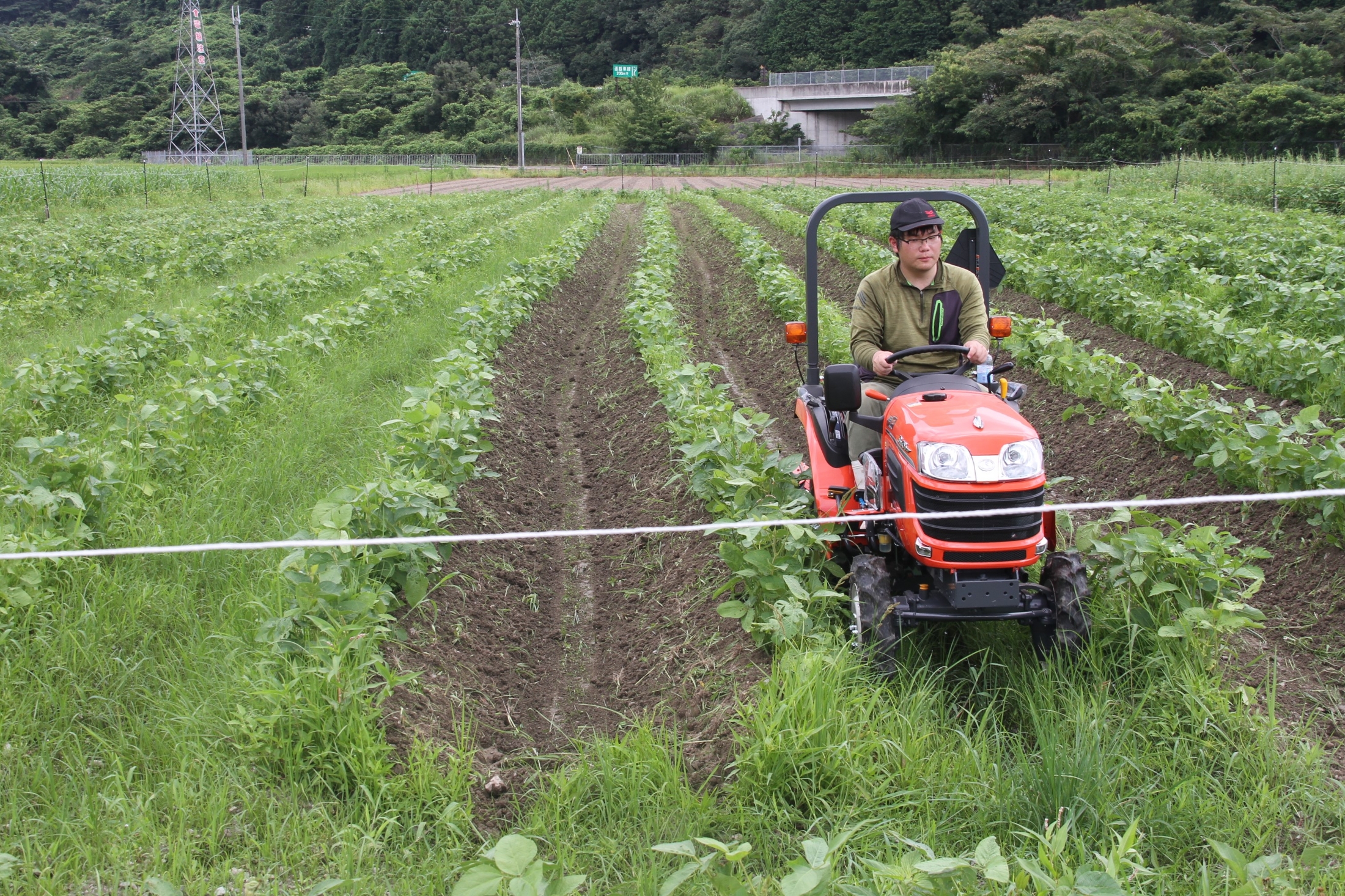 超幅狭トラクターで土寄せ 作業の省力化に 除草しながら走行／兵庫・丹波市（丹波新聞） - Yahoo!ニュース