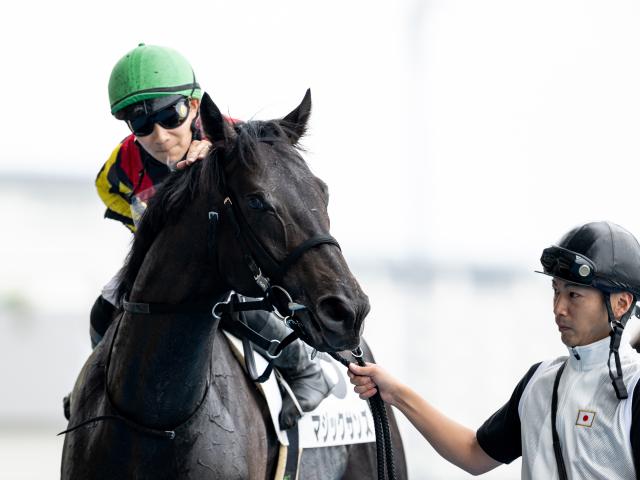 【今日の注目ポイント】札幌開催の2歳チャンプ決定戦・札幌2歳S