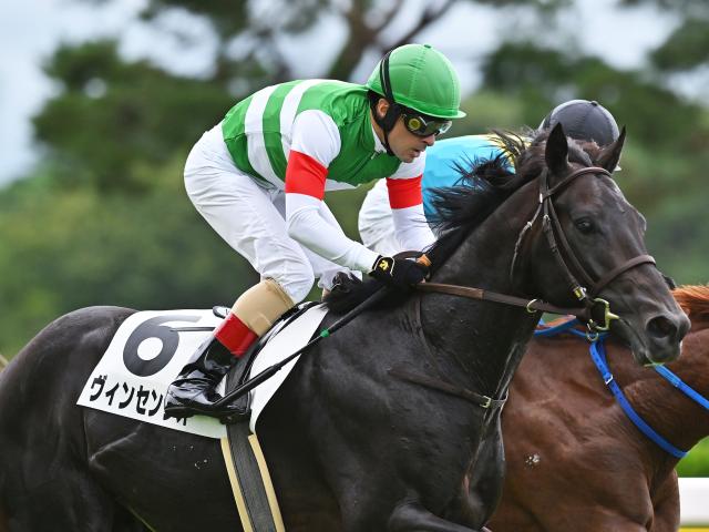 【新潟5R新馬戦結果】シーザリオの孫ヴィンセンシオが人気に応えてV