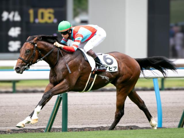 【小倉2歳S予想】今年は中京芝1200mが舞台！ 前走で強気な競馬をしていた馬には要注意