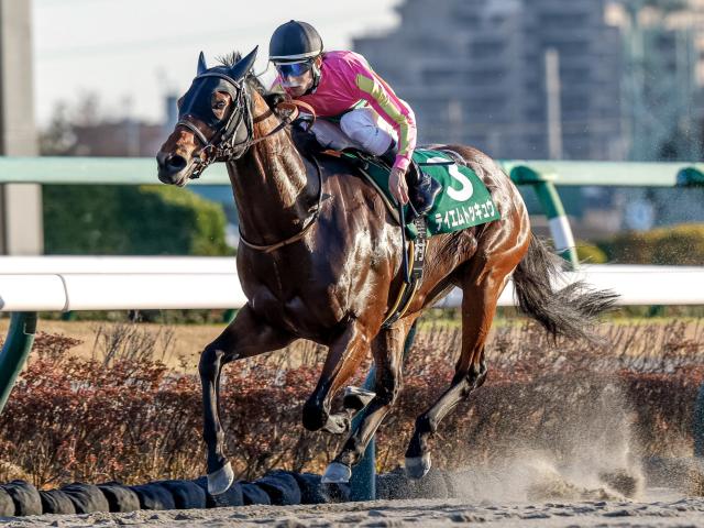 【佐賀競馬】夏の大一番はハンデと台風で“荒れ”模様？ 地方馬台頭にも期待かかる一戦