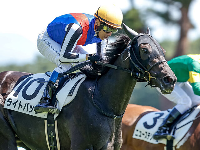 【新潟記念予想】牡馬が圧倒的な良績を残す！ 苦戦傾向の牝馬に求められる好走条件とは