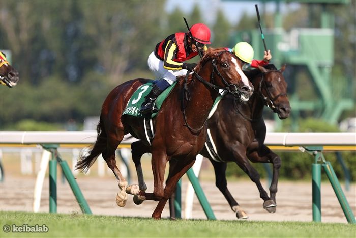 【新潟記念】驚異の3戦3勝！今年も出現「勝率100%」の法則に該当した1頭