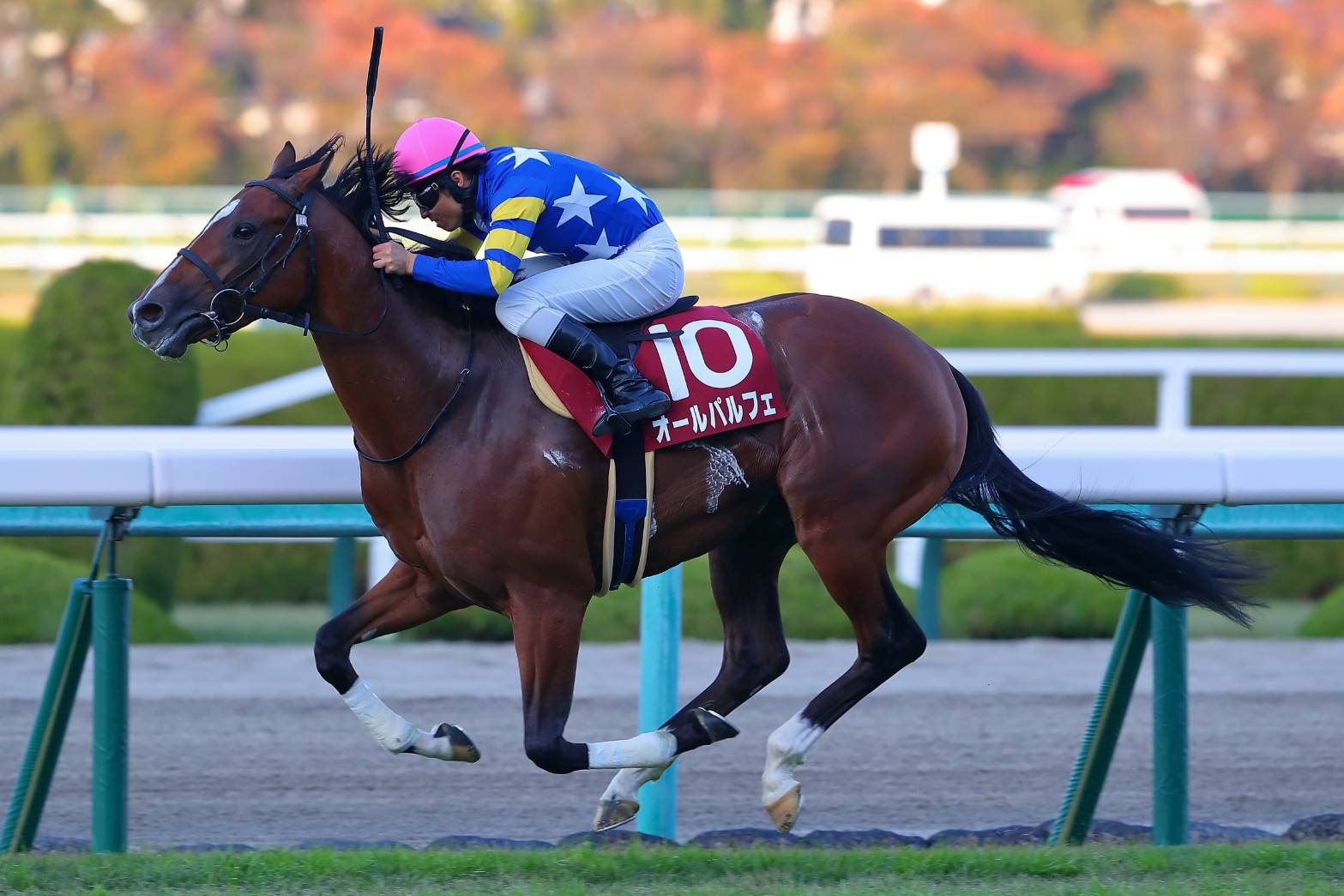 オールパルフェの競走馬登録抹消…2歳重賞で活躍