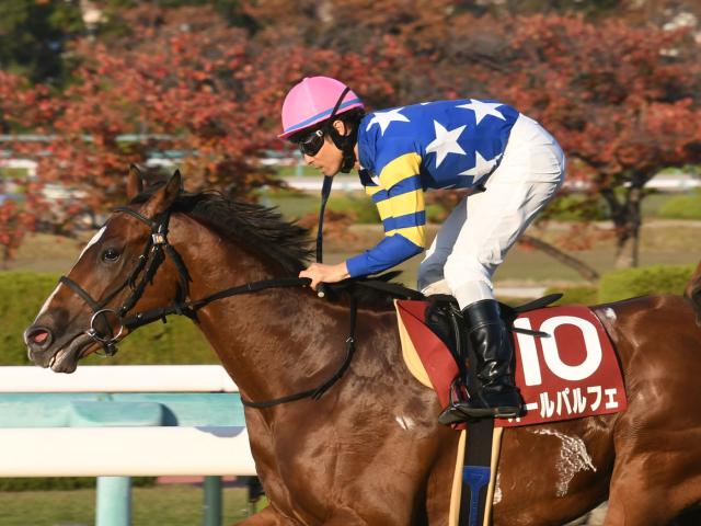 22年のデイリー杯2歳Sを制したオールパルフェが登録抹消 今後は園田競馬に移籍