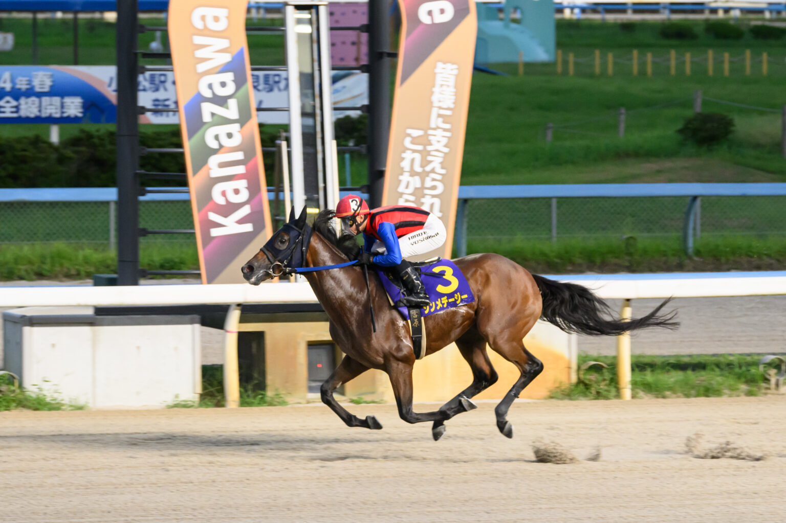 【金沢・西日本3歳優駿】高知シンメデージー大差圧勝…吉原「次走はジャパンダートクラシック」