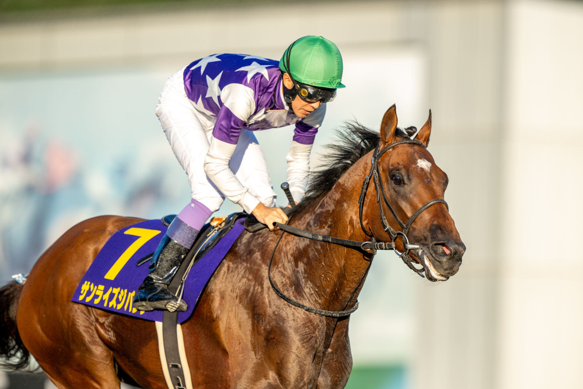 盛岡・不来方賞】武豊「なんて読むレースか分からなかった（笑）」サンライズジパングが快勝（競馬のおはなし） - Yahoo!ニュース