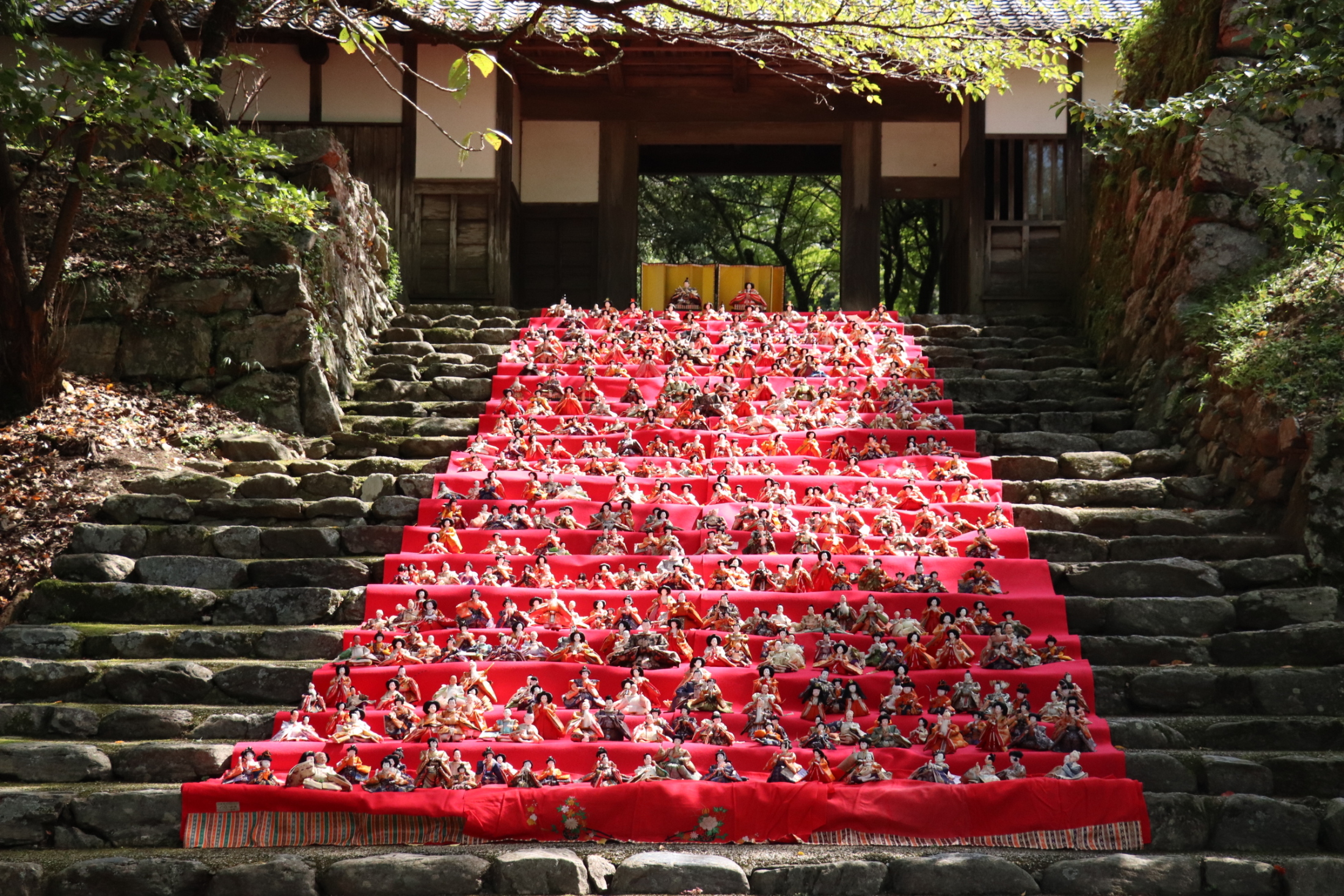 筑前の小京都・秋月で大人のひな祭り 重陽の節句「後の雛」（オーヴォ） - Yahoo!ニュース