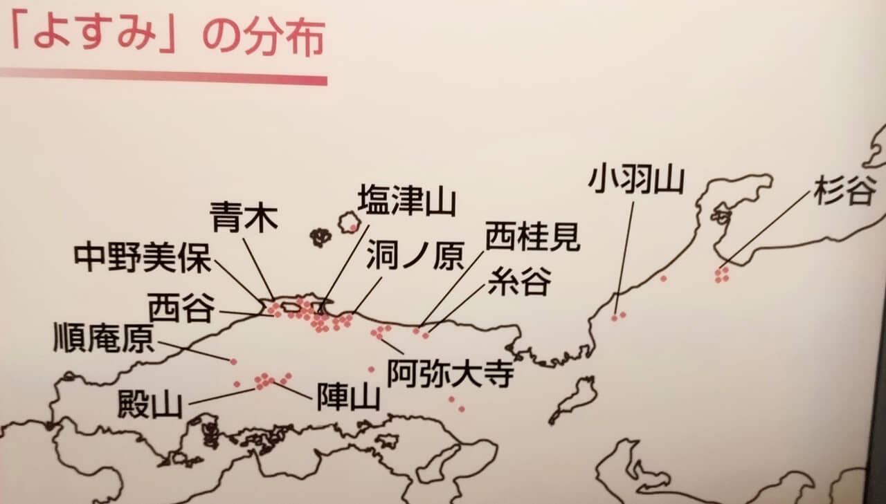 古墳時代の土台は弥生時代だ！ 前方後円墳出現前夜の「四隅突出型墳丘墓」とは？ （歴史人） - Yahoo!ニュース