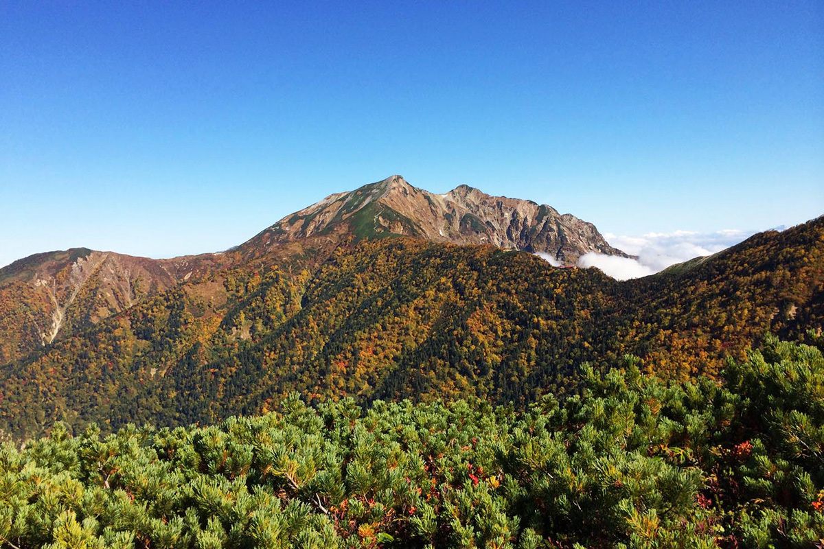 立山連峰と後立山連峰の絶景が待っている！ 壮大な北アルプス稜線歩きで人気の鹿島槍ヶ岳をピークハント（ソトラバ） - Yahoo!ニュース