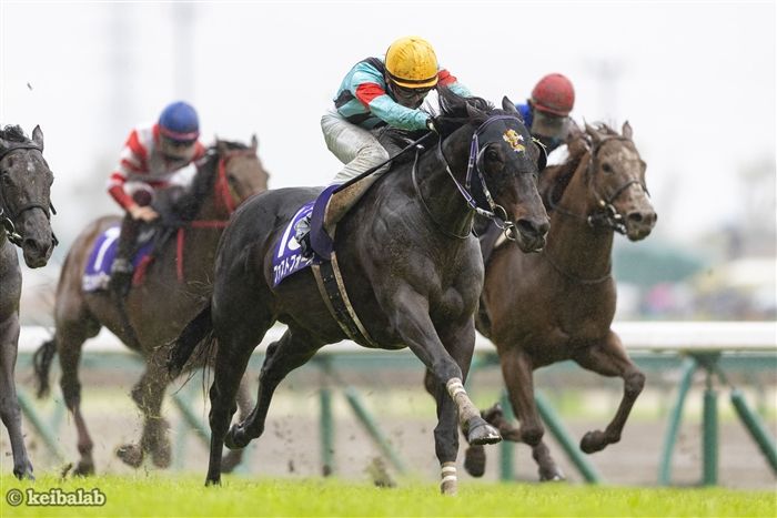 【セントウルS】2022年の再現！G1馬ママコチャを上回る「激アツ条件」該当馬（競馬ラボ） - Yahoo!ニュース