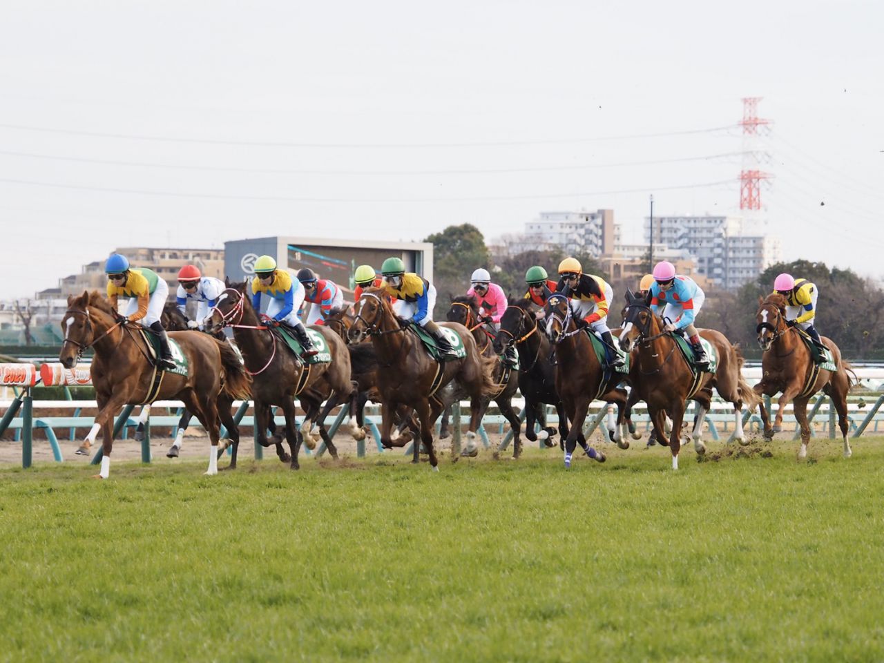 WIN5は40万円超の払戻しで堅調（競馬のおはなし） - Yahoo!ニュース