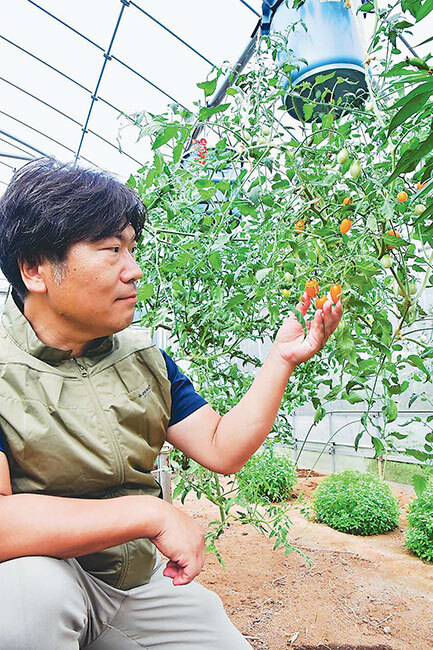 バケツつるして野菜空中栽培 スペース活用し多品目 横浜市の農家（日本農業新聞） - Yahoo!ニュース