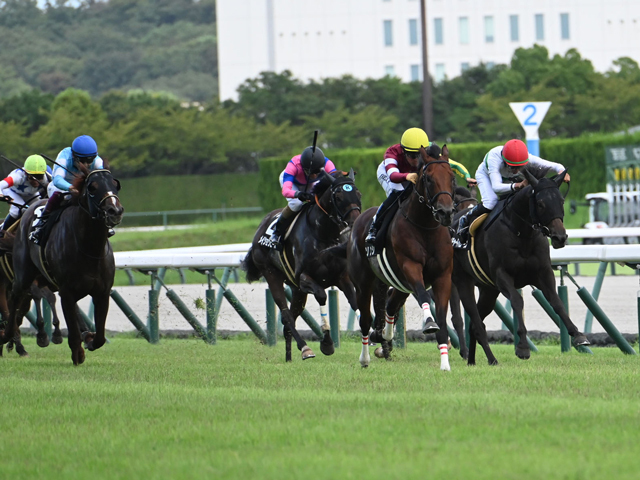 JRA・WIN5】1番人気4勝、2番人気1勝で的中55919票・配当1万140円（netkeiba） - Yahoo!ニュース