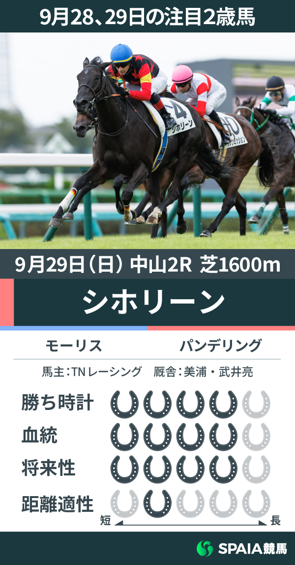 注目2歳馬】叔母はアーモンドアイ、モーリス産駒シホリーンが2戦目でV 同日サフラン賞を上回る好時計（SPAIA AI競馬） - Yahoo!ニュース