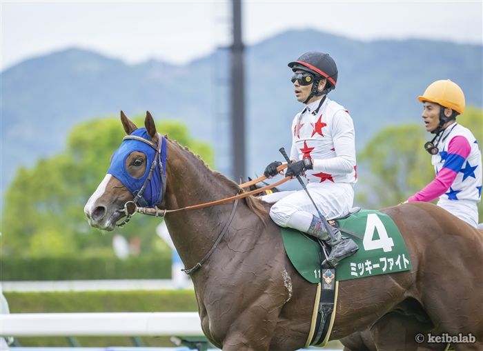 ジャパンダートクラシック】タイトル奪取へ！勢いに乗るミッキーファイト（競馬ラボ） - Yahoo!ニュース