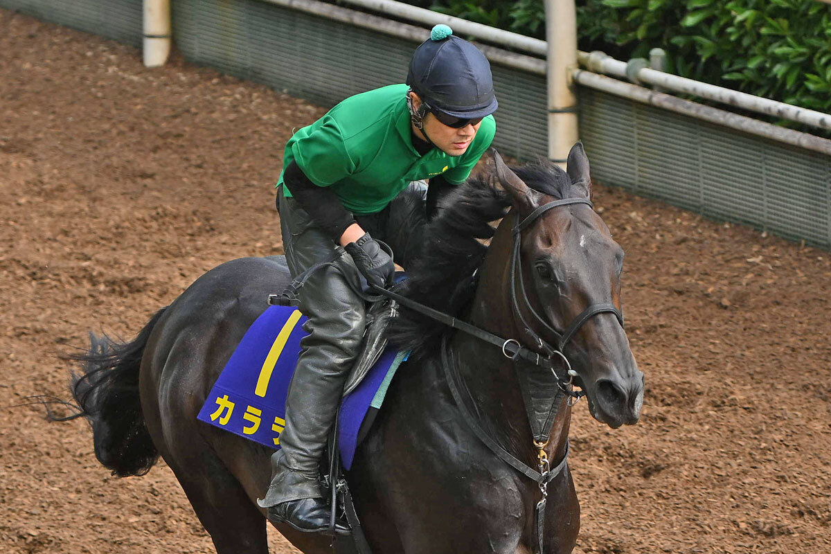 毎日王冠・耳より】８歳馬カラテが４度目の重賞制覇へ 音無調教師が考える理想の競馬（東スポ競馬） - Yahoo!ニュース