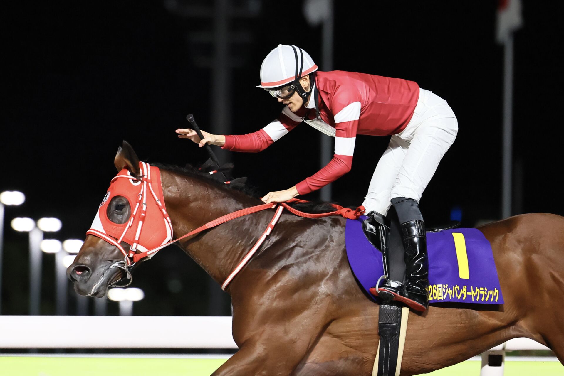 JDC】坂井瑠「アメリカでリベンジ」レース後ジョッキーコメント（競馬のおはなし） - Yahoo!ニュース