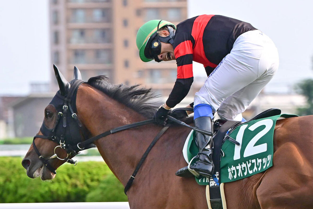 毎日王冠・生情報】〝完成の域〟に突入 遅生まれの素質馬ホウオウビスケッツが３連勝＆ＧⅠ路線へ！（東スポ競馬） - Yahoo!ニュース